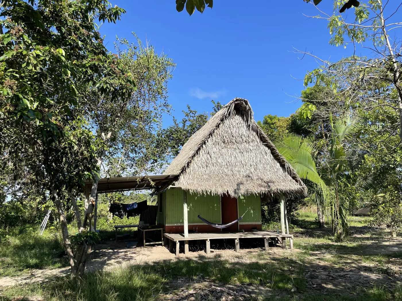 茅葺き屋根の高床式の小屋。軒下にハンモックが吊るされ、周りは木立に囲まれている